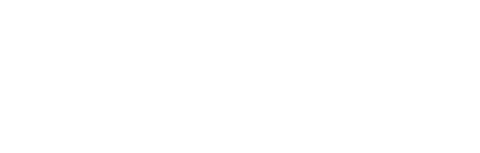 Transfleet Express